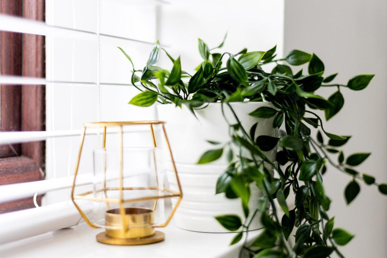 Levi Suite By Koya Homes - 3-Bedroom Home, Downtown Cardiff, Free Parking エクステリア 写真